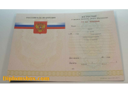 Аттестат 11 классов 2010-2013